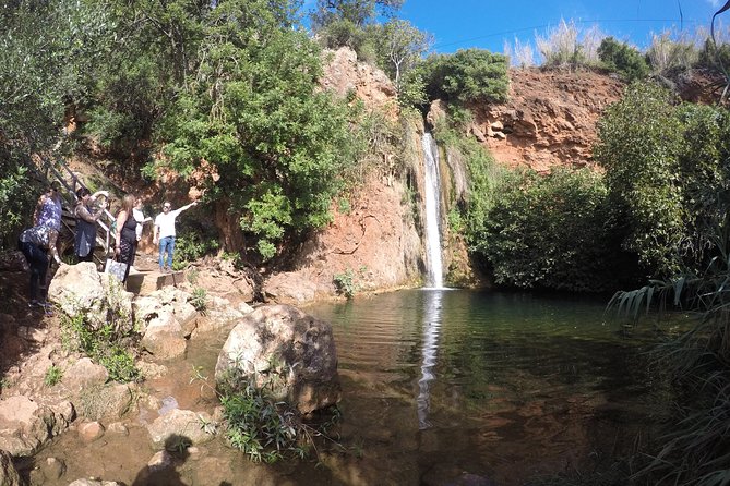 Algarve Safari - Full Day Tour from Albufeira w / lunch - Leaving Albufeira for the Algarve interior