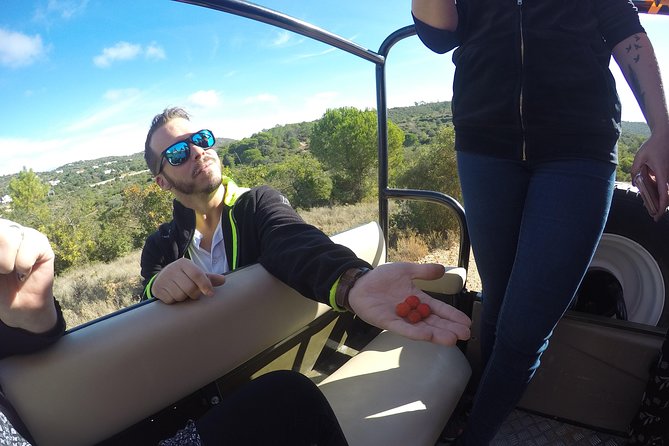 Algarve Safari - Full Day Tour from Albufeira w / lunch - Queda do Vigario, one of the day’s highlights