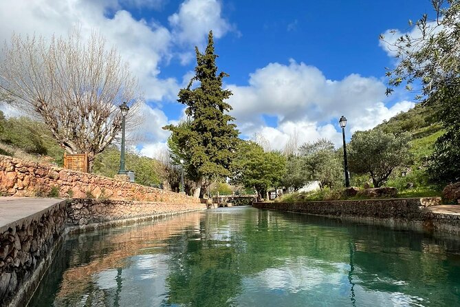 Algarve Safari - Half Day from Albufeira - What the vehicle ride is really like