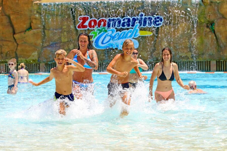 Algarve: Zoomarine Amusement Park Entry Ticket - Accessibility and basic rules