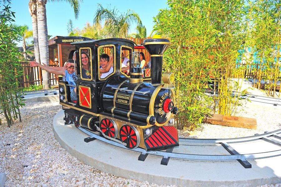 Algarve: Zoomarine Amusement Park Entry Ticket - What a day at Zoomarine Algarve feels like