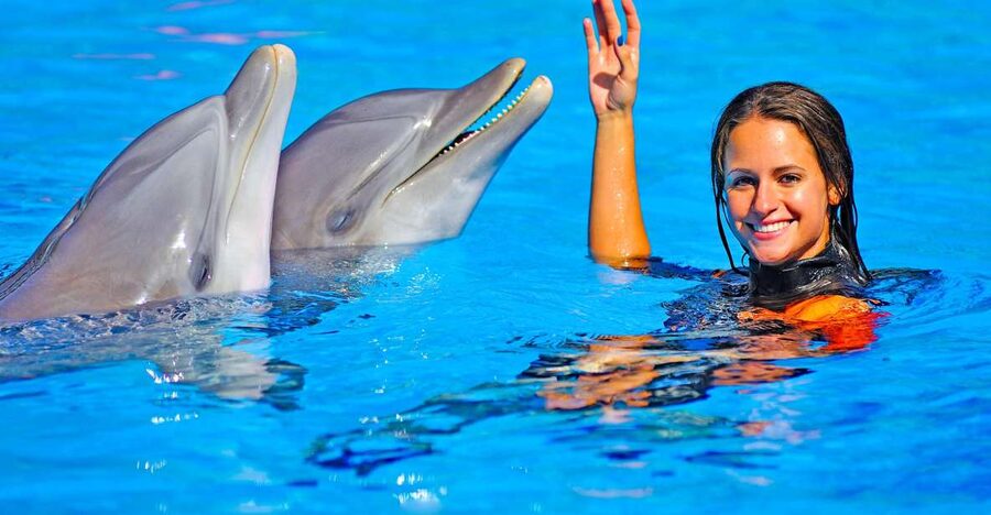 Algarve: Zoomarine Amusement Park Entry Ticket - Dolphins, sea lions, and birds