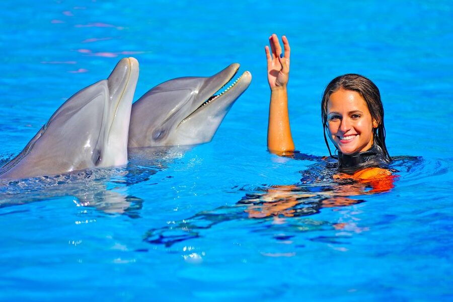 Algarve: Zoomarine Amusement Park Entry Ticket - Arrive early for the best choice of shows