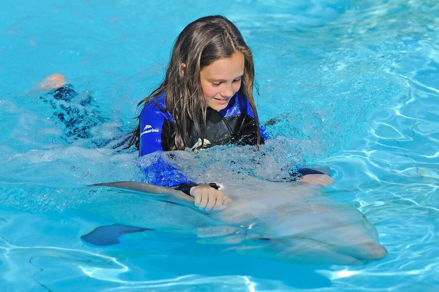 Algarve Zoomarine Ticket and Dolphin Emotions Experience - Meeting the dolphins in Zoomarine’s sandy lagoon