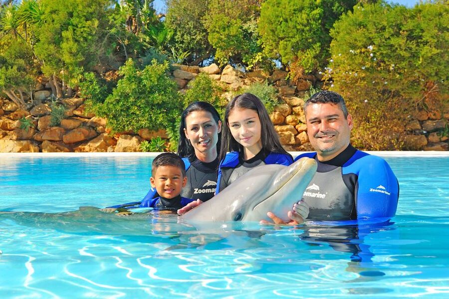Algarve Zoomarine Ticket and Dolphin Emotions Experience - The Exclusive session for a private meeting