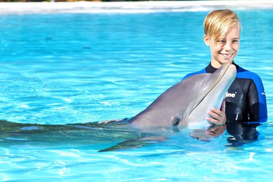 Algarve Zoomarine Ticket and Dolphin Emotions Experience - Trainers, education, and the human side of the session