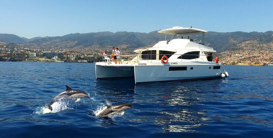 All Inclusive Whale and Dolphin Watching Luxury Tour - Key points to know before booking
