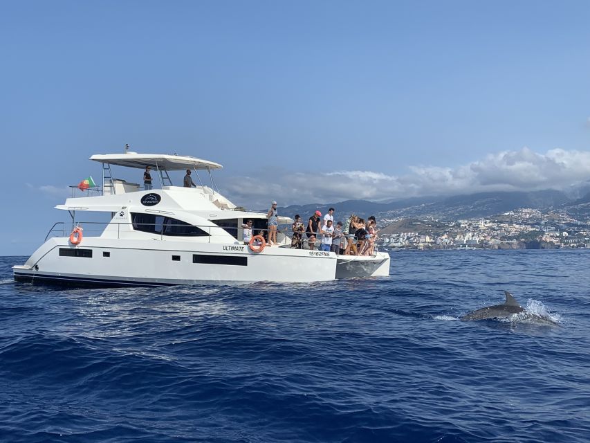 All Inclusive Whale and Dolphin Watching Luxury Tour - Should you book it?
