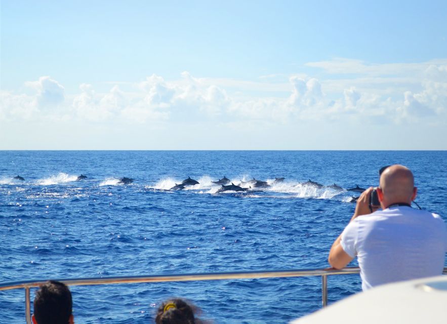 All Inclusive Whale and Dolphin Watching Luxury Tour - The secret stop, snacks, and open bar