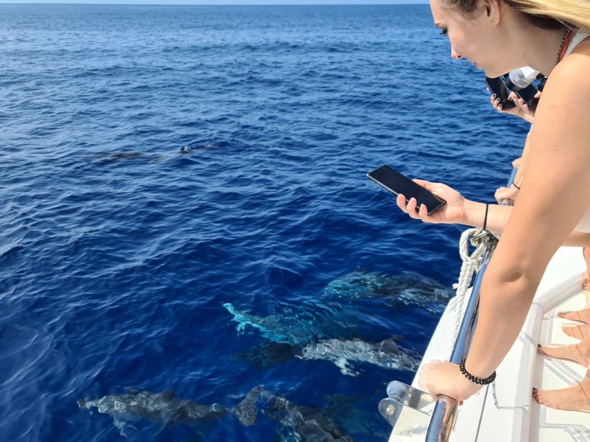 All Inclusive Whale and Dolphin Watching Luxury Tour - Swimming under the 586-meter Cabo Girão cliff