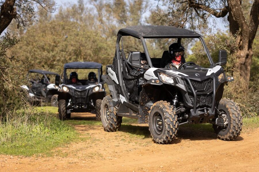 Almancil: Algarve Guided Off-Road Buggy Adventure - Driving through almond and carob country
