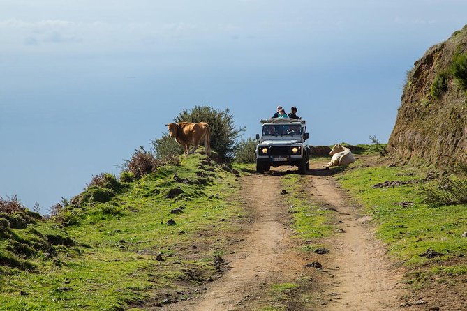 Amazing West - Jeep Safari Tour - Full Day - Shared Tour - Key points at a glance
