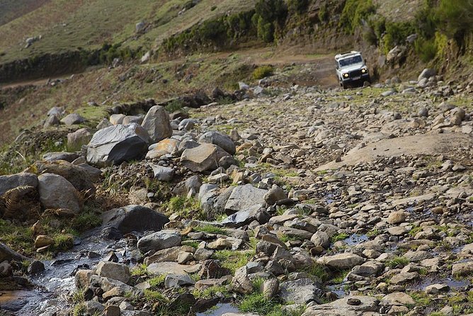 Amazing West - Jeep Safari Tour - Full Day - Shared Tour - Fanal Forest and the old Laurissilva