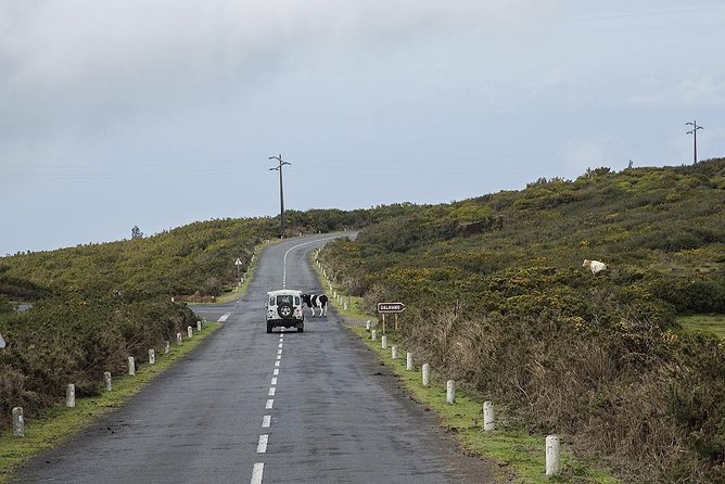 Amazing West - Jeep Safari Tour - Full Day - Shared Tour - What the shared Jeep is really like