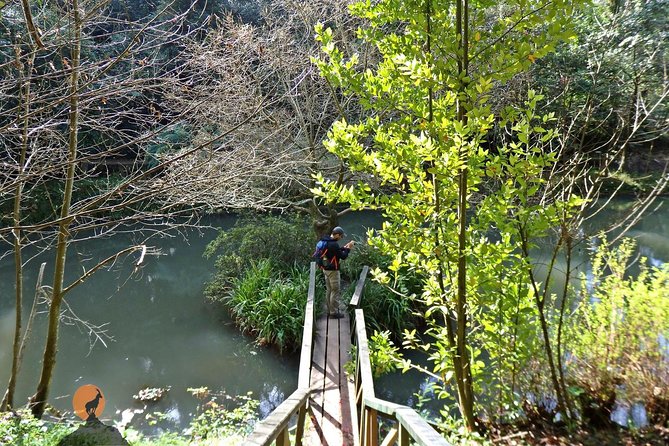 An adventure through the Forest and Palace of Bussaco - Coimbra - What Sérgio Forte adds to the visit