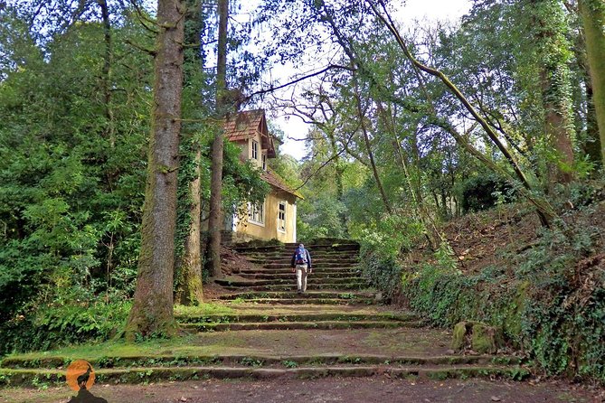 An adventure through the Forest and Palace of Bussaco - Coimbra - Who should book this Bussaco outing