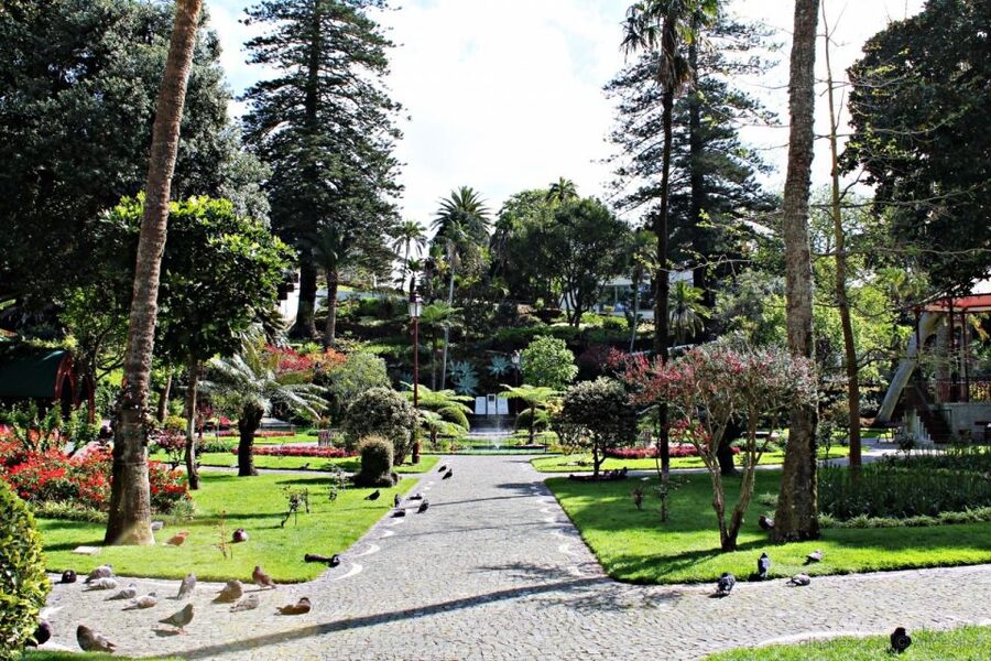 Angra do Heroísmo: Walking Tour with Local Pastry and Coffee - Climbing Jardim Duque da Terceira to Alto da Memoria