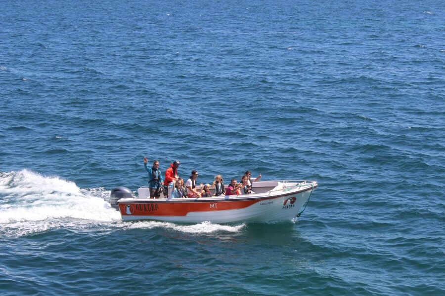 Armação de Pêra: Guided Boat Tour of Benagil's 15 Best Caves - Arches, tunnels, and the famous Yellow Submarine
