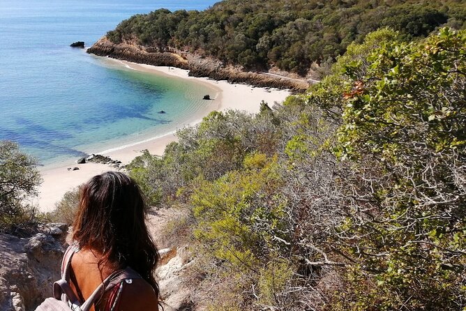 Arrábida: Beach, Nature & History - The beach stop and the 17°C water