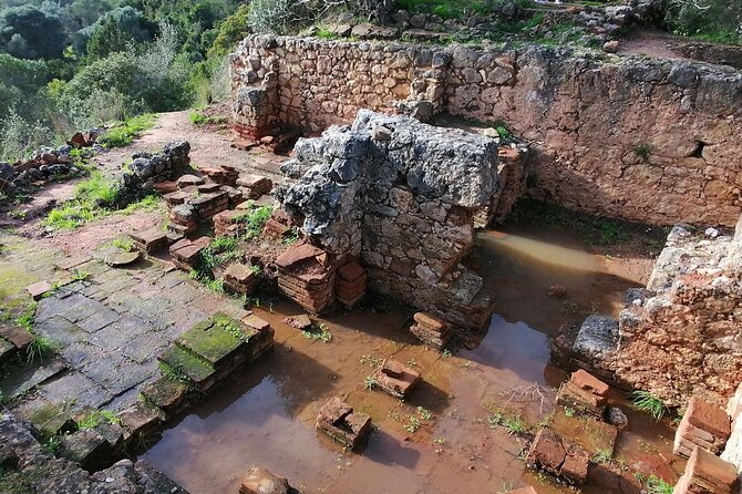 Arrábida: Beach, Nature & History - Caves, cliffs, and a rare natural feature