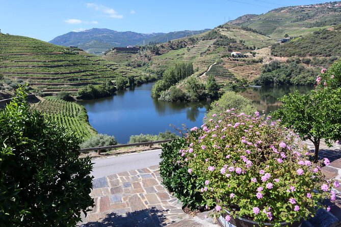 Authentic Small Group Douro Wine Tour with Lunch & River Cruise - The Return to Porto and the Real Time Commitment