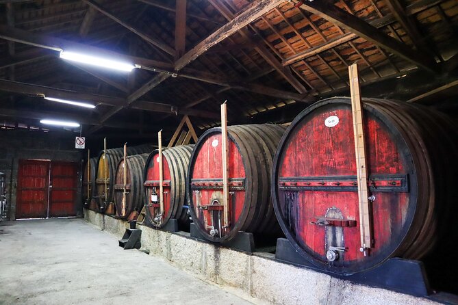 Authentic Small Group Douro Wine Tour with Lunch & River Cruise - Is $133.02 a Fair Price?