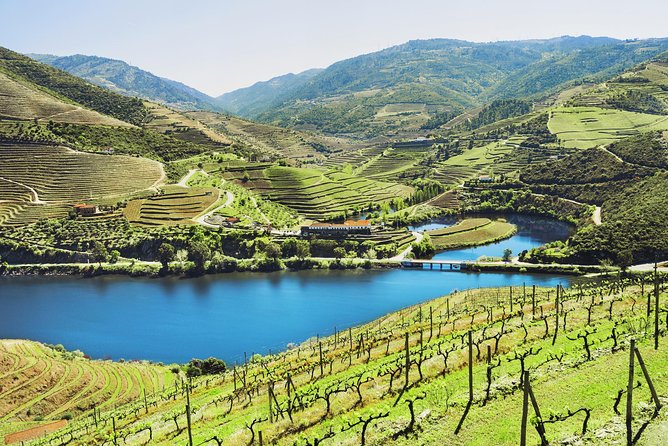 Authentic Small Group Douro Wine Tour with Lunch & River Cruise - The Morning Pickup and Drive Into Wine Country