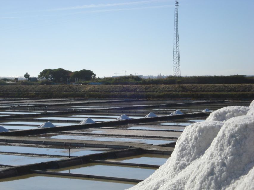 Aveiro: Boat Cruise and City Walking Tour with Sweet Tasting - Walking through Beira Mar and the Fish Market