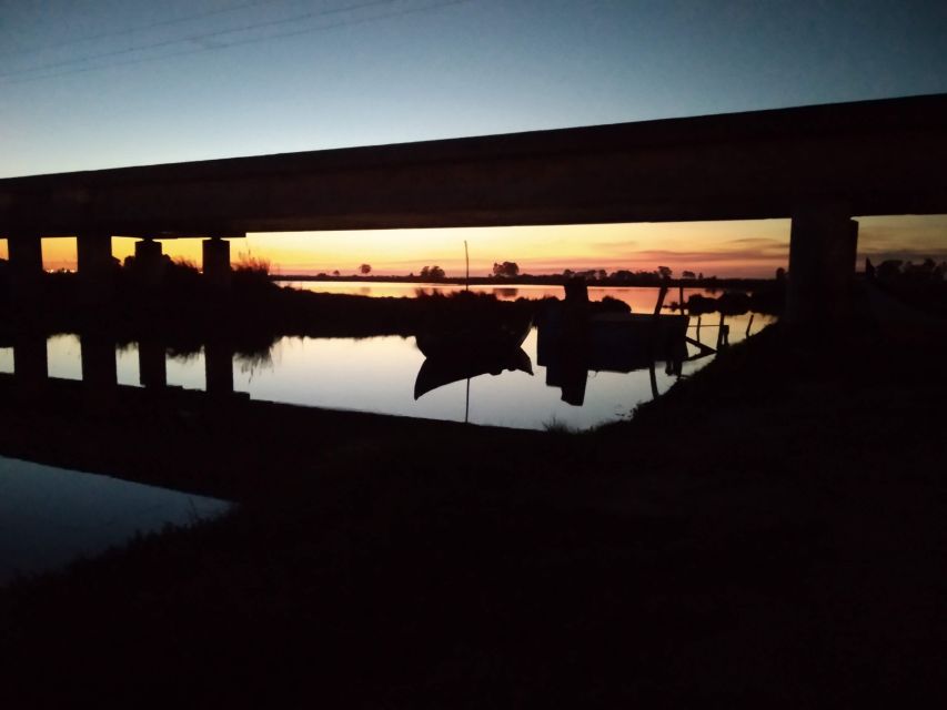 Aveiro: Boat Cruise and City Walking Tour with Sweet Tasting - Ovos moles, Aveiro’s sweet calling card