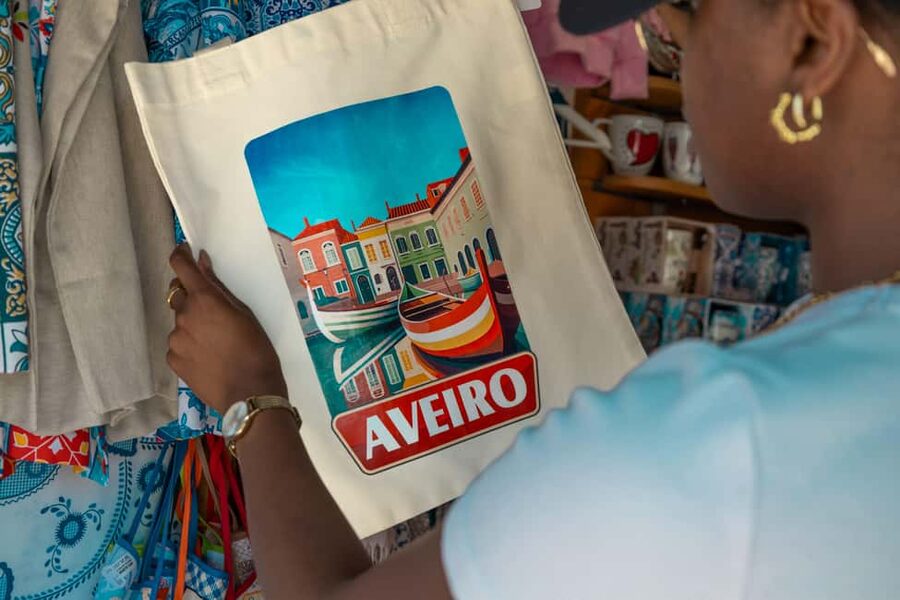 Aveiro: Half-Day Tour from Porto with Cruise - Why Aveiro works as a half-day trip from Porto