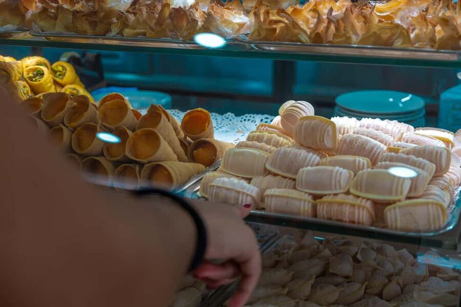 Aveiro: Half-Day Tour from Porto with Cruise - What the $52 price includes