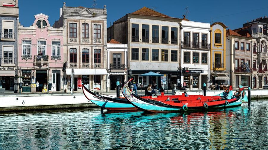 Aveiro: Scenic Guided Boat Tour - The 45-minute route and what you see