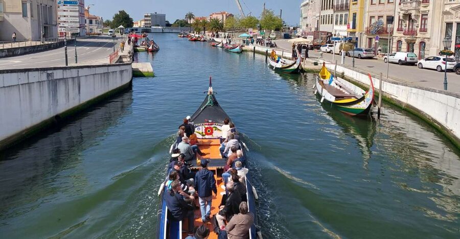 Aveiro: Stories, Canals, and Azulejos Guided Walking Tour - Starting at Praça da República