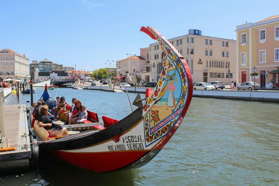 Aveiro: Traditional Moliceiro Boat Tour - What the Moliceiro ride tells you about Aveiro