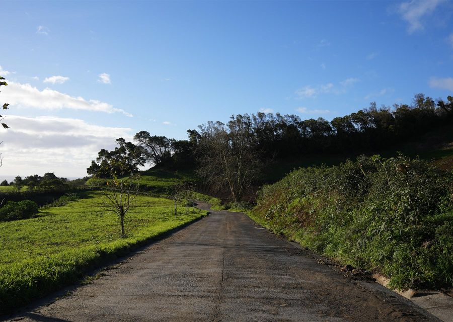Azores: São Miguel and Lagoa do Fogo Hiking Trip - Key points at a glance