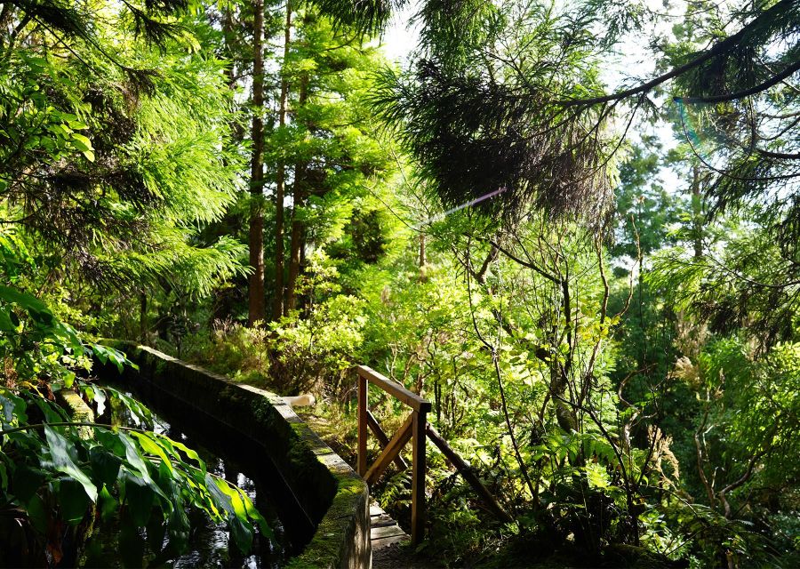 Azores: São Miguel and Lagoa do Fogo Hiking Trip - The old water levada and its quiet reflections