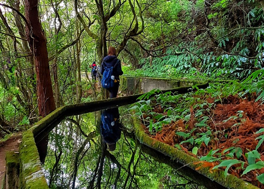 Azores: São Miguel and Lagoa do Fogo Hiking Trip - The descent, hydrangeas, and south coast views