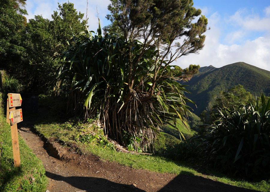 Azores: São Miguel and Lagoa do Fogo Hiking Trip - Caloura and the flexible finish