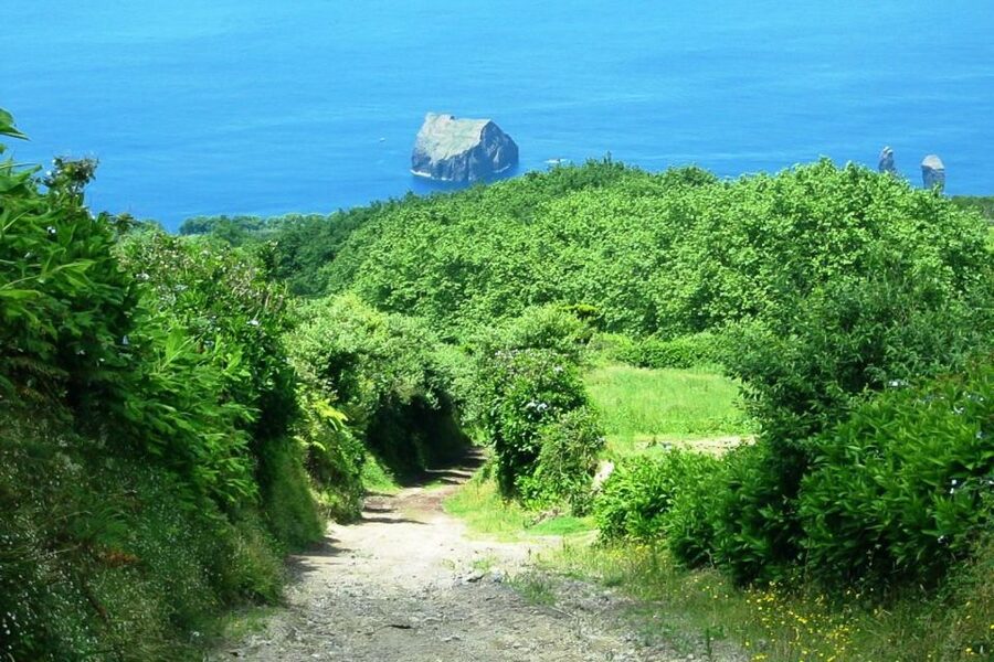 Azores: Sete Cidades Scenic Jeep Tour from Ponta Delgada - Sete Cidades village and the volcanic crater