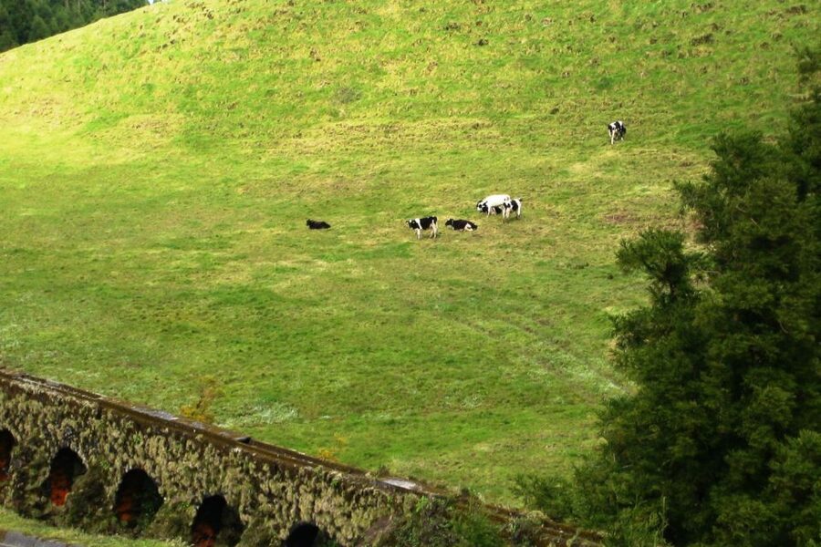 Azores: Sete Cidades Scenic Jeep Tour from Ponta Delgada - Vista do Rei and the classic twin-lake view
