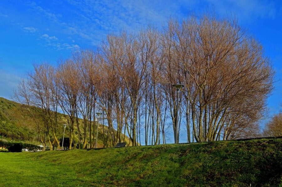 Azores: Terceira Island Full-Day Tour - Serra do Cume is the classic Terceira viewpoint