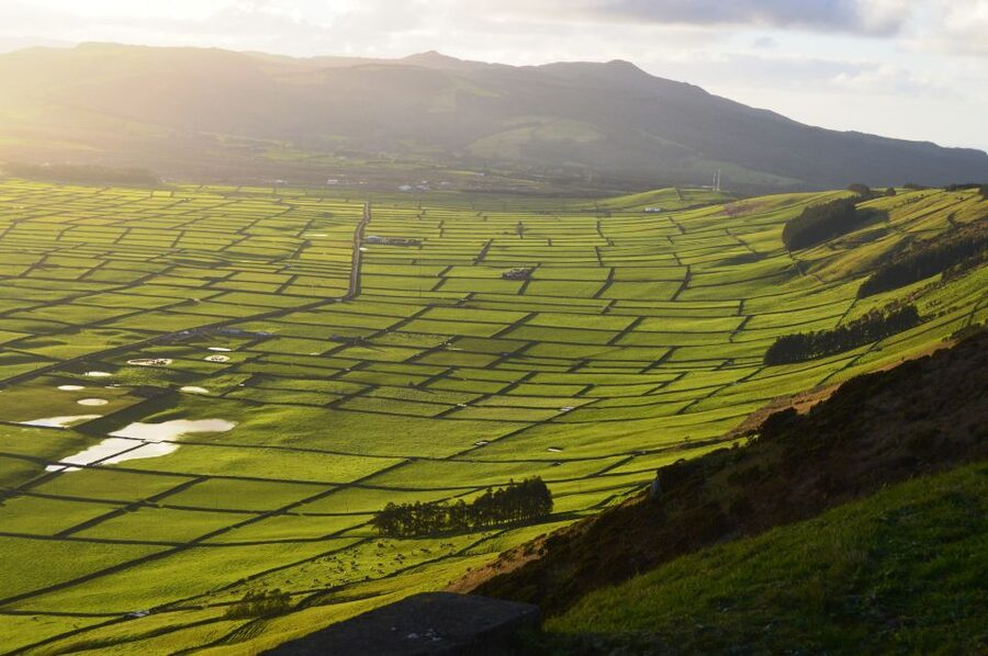 Azores: Terceira Island Full-Day Tour - Alcatra makes lunch more than a meal break