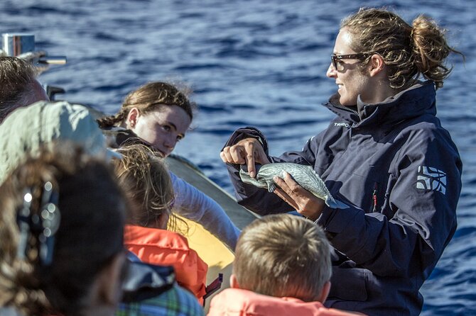 Azores Whale Watching & Islet Boat Tour - Three hours between whales and a volcanic islet