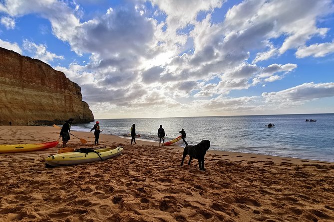 Benagil Cave - Sunrise or Sunset Kayak Tour (Small groups) - Who should book this Benagil tour?