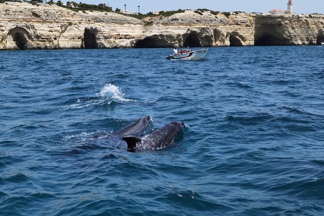 Benagil Caves Tour from Portimao - The boat ride along Carvoeiro and Vale de Centeanes