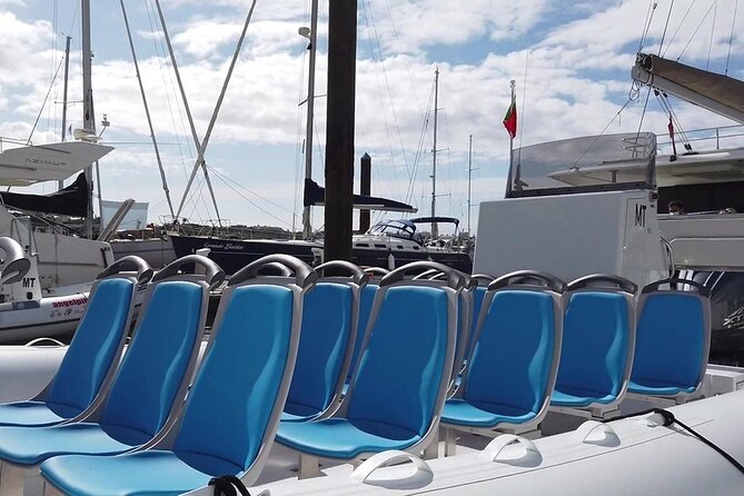 Benagil Caves Visit with Dolphins Watching from Albufeira - A fast start from Albufeira Marina