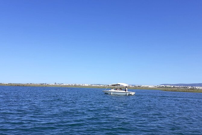 Birdwatching in Ria Formosa - Eco Boat Tour from Faro - Meeting at Faro Marina and getting settled