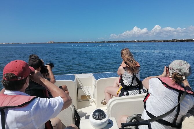 Birdwatching in Ria Formosa - Eco Boat Tour from Faro - Marshes, canals, and the first bird sightings