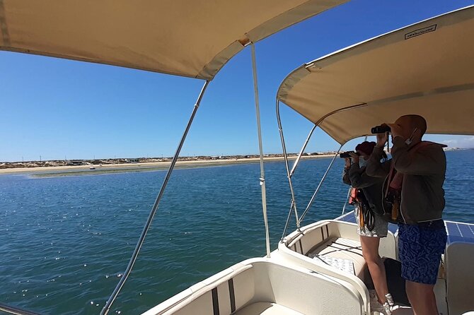 Birdwatching in Ria Formosa - Eco Boat Tour from Faro - Tide, season, and weather make a real difference