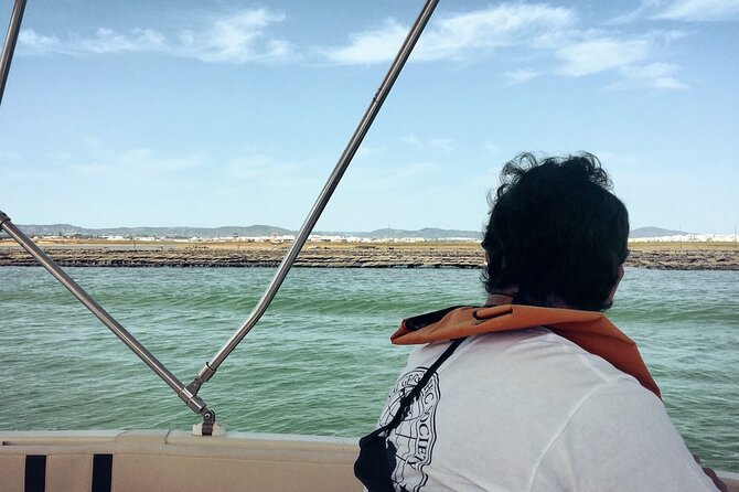 Birdwatching in Ria Formosa - Eco Boat Tour from Faro - Photography from a moving solar boat